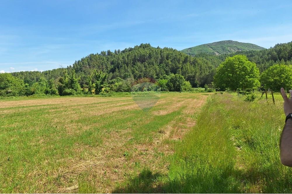 Toke Bujqesore - Në Shitje - Petrelë, Tiranë 3