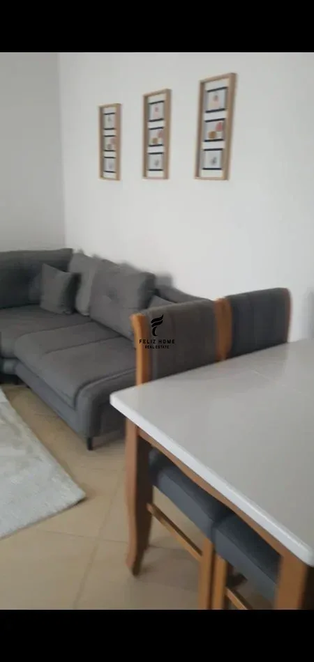APARTAMENT ME QERA 1+1 KODRA E DIELLIT 50.000 LEKE 2