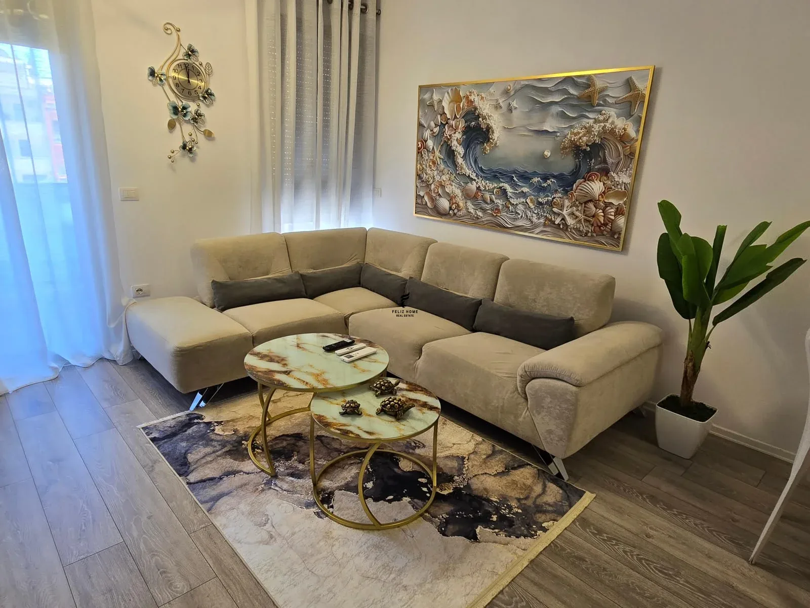 APARTAMENT ME QERA 1+1 ALI DEMI 60.000 LEKE 2