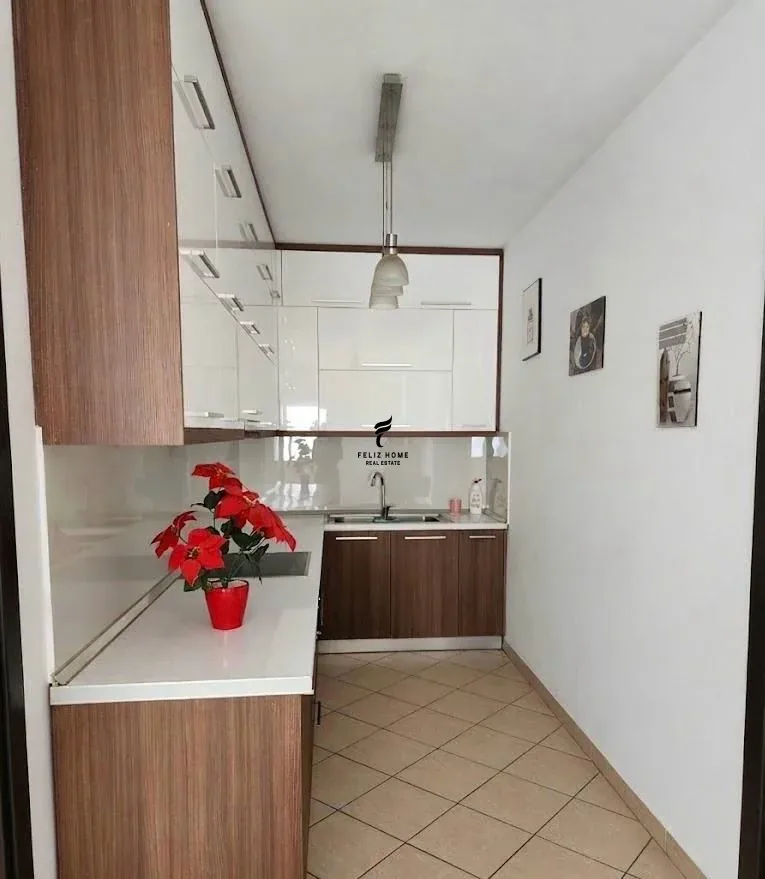 ZYRE ME QERA 100M2 BULEVARDI I RI 55.000 LEKE 2