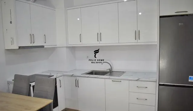 APARTAMENT ME QERA 1+1 ALI DEMI 45.000 LEKE 3