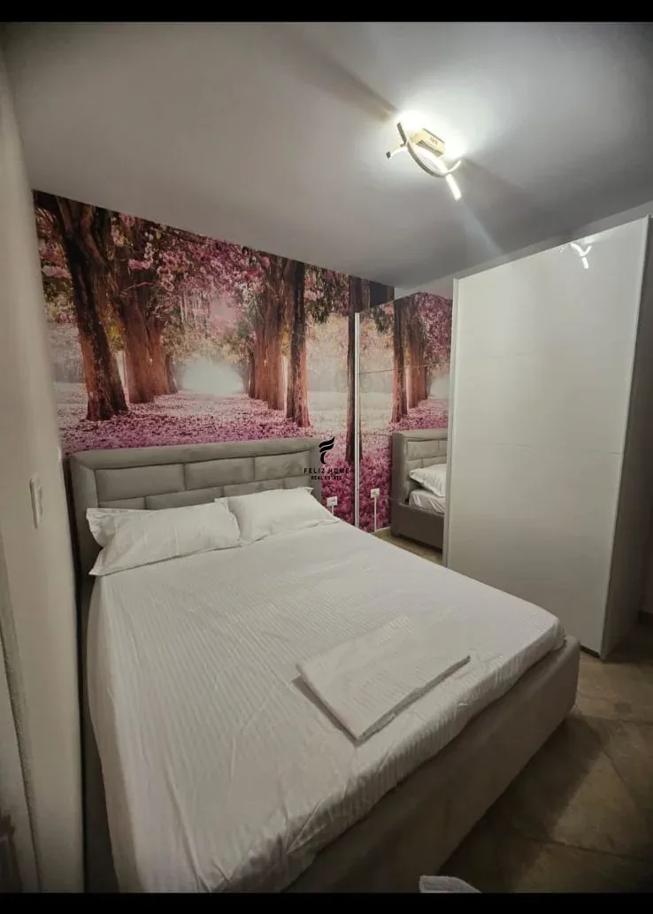 APARTAMEMT ME QERA 1+1 RRUGA E BARRIKADAVE 65.000 LEKE 2