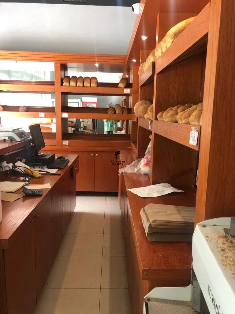 SHITET AMBIENT BIZNESI YZBERISHT 11.000.000 LEKE