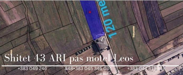 Shiten 43 ARI pas motel Leos
