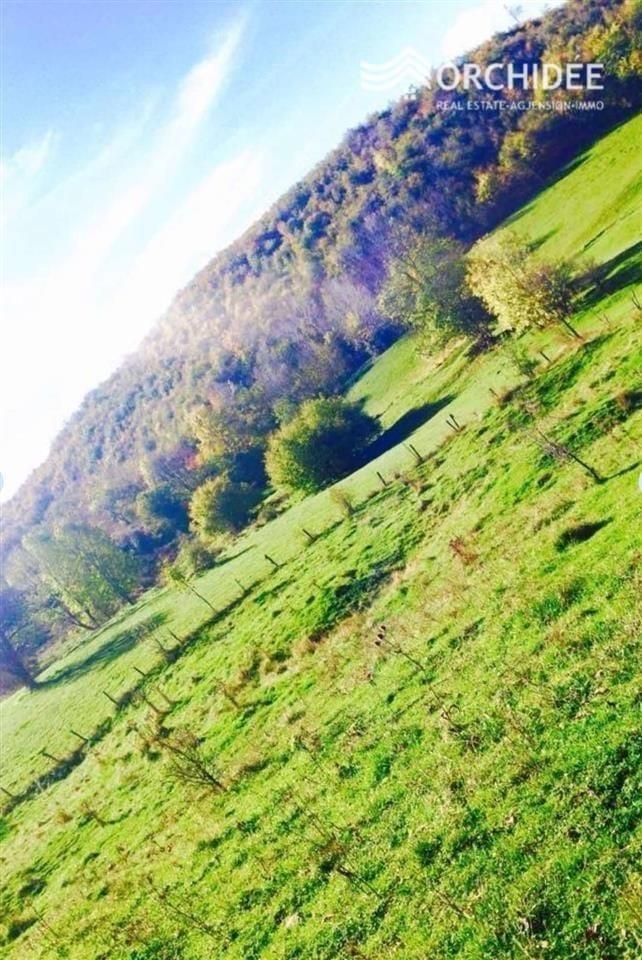 🏞️SHITET TOKA NË PRAPASHTICË 2