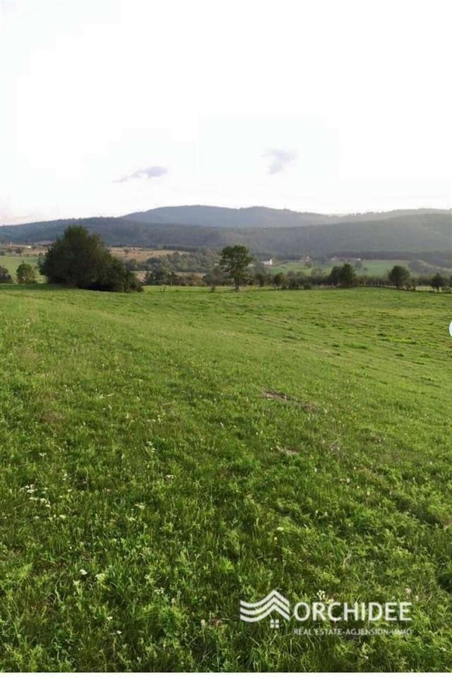 🏞️SHITET TOKA NË PRAPASHTICË 3
