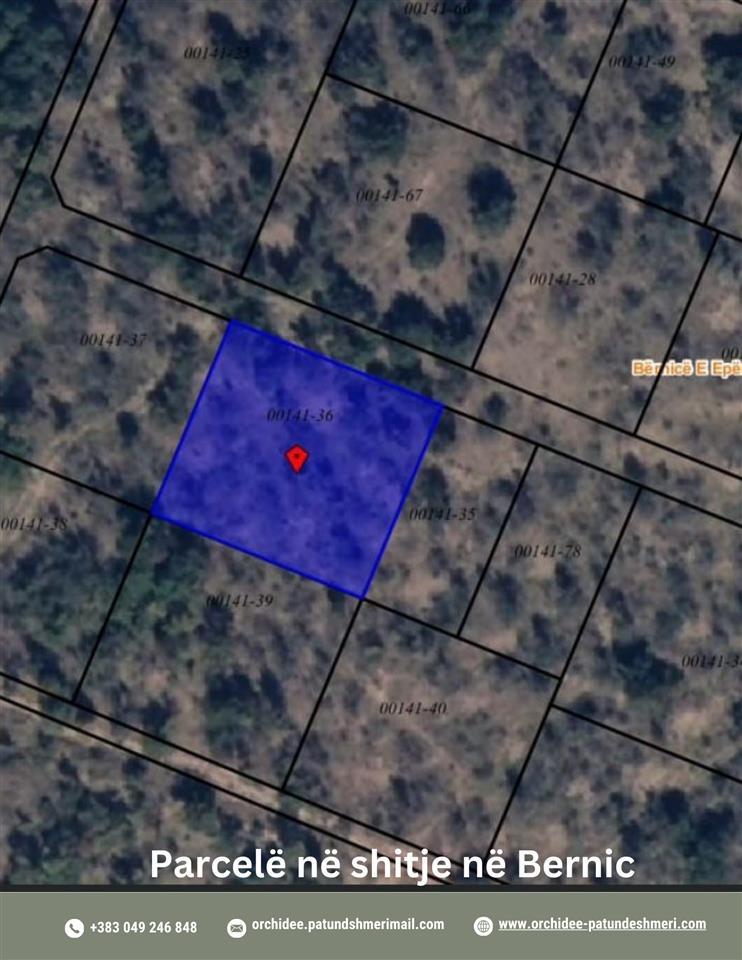 Parcele ne shitje ne Bernice 600 m2