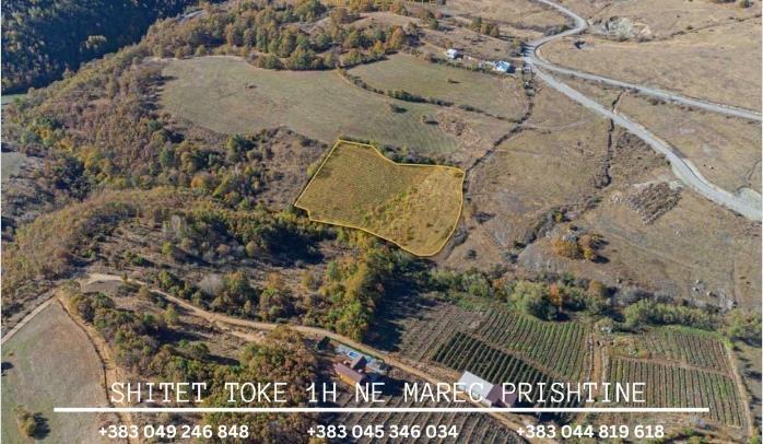 Shitet toke 1H ne Marec, Prishtine