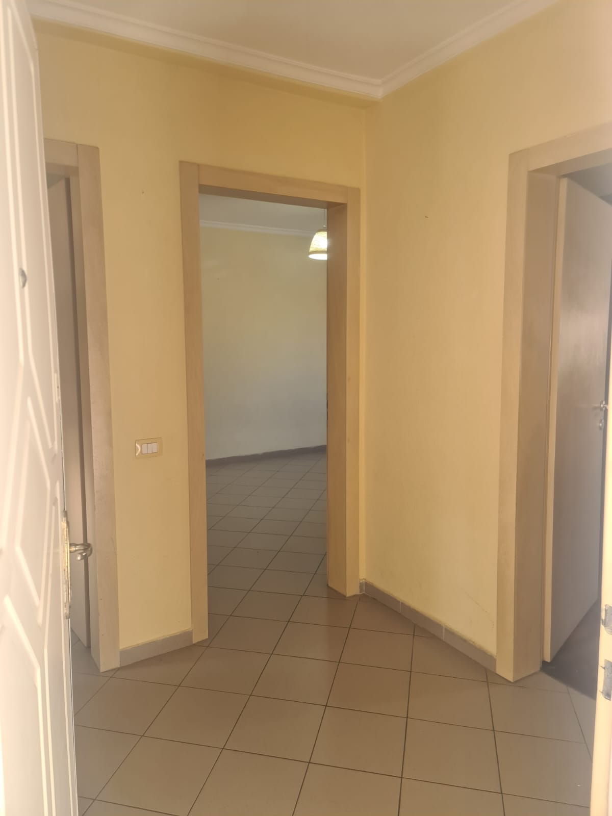 Office for rent in Tiranë 1