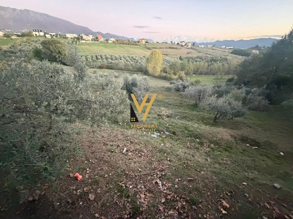SHITE TOKE ARE 11.500 M2 TE RRUGA E DAXHIT, FARKE 1.730.000 EURO 2