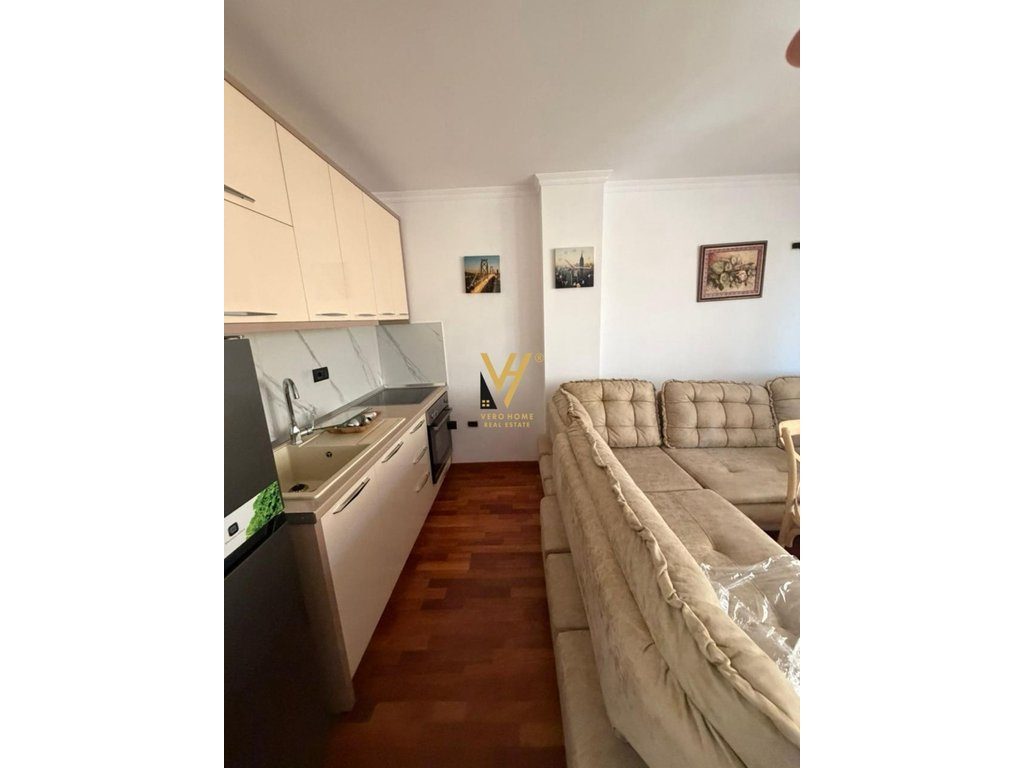 JEPET APARTAMENT 1+1 ME QERA NE VASIL SHANTO 650 EURO 2