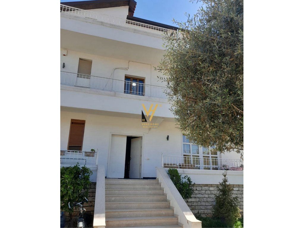 JEPET GODINE 3 KATESHE ME QERA PER BIZNES NE ALLIAS 150.000 LEKE 4