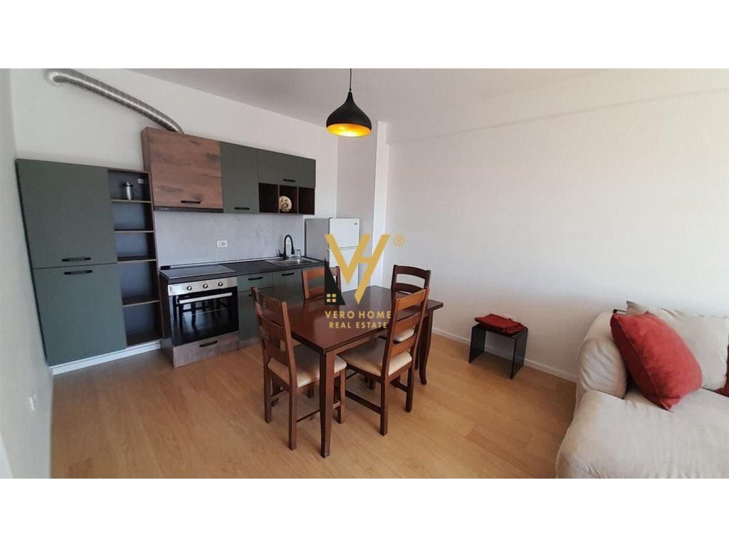 JEPET APARTAMENT 1+1 ME QIRA TE SHESHI WILLSON 59.000 LEKE 3