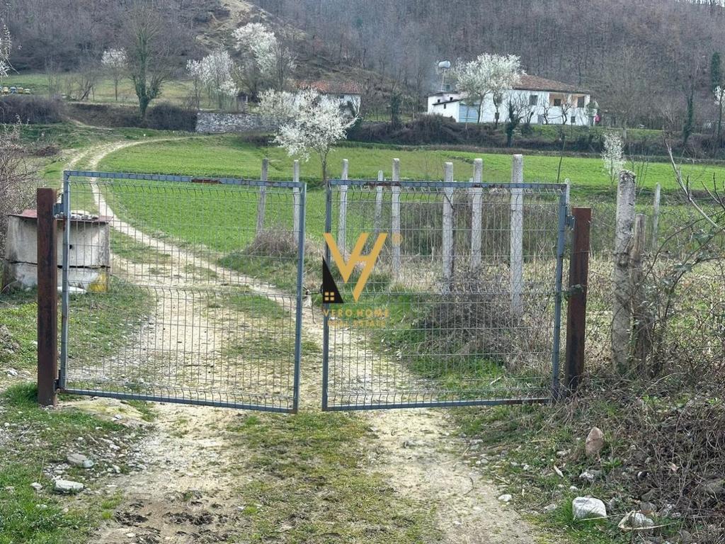 SHITET VILE DY KATESHE NE ZALL DAJT 27.000.000 LEKE 2