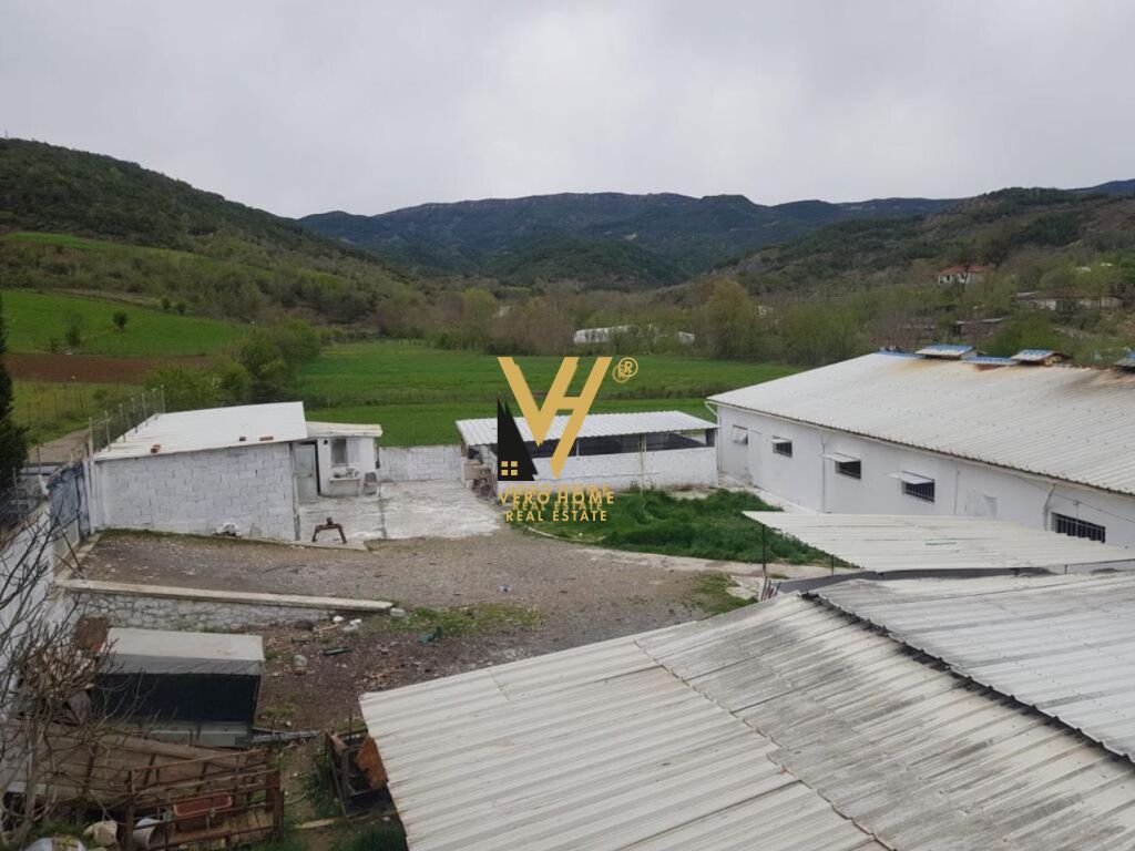 SHITET FERME 1.400 M2 NE BALDUSHK 300.000 EURO