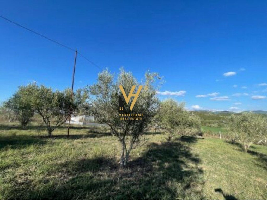 SHITET TOKE 12.700 M2 PRANE RESORT DAJTI OAZ 760.000 EURO