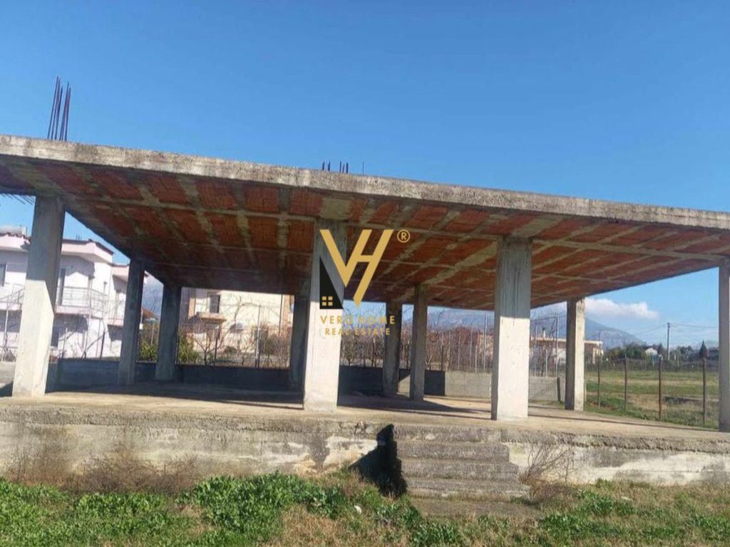 SHITET TOKE 1.000 M2 NE KAMEZ 82.400 EURO