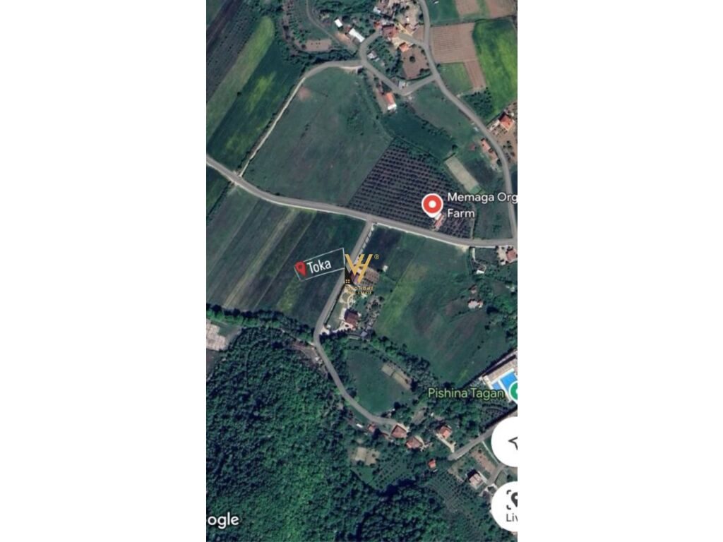 Shitet Toke ne Tagan , Petrele 10.000 m2