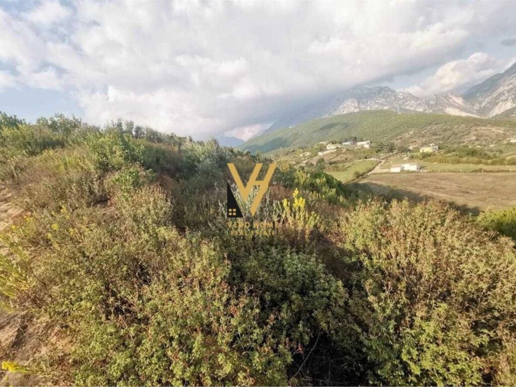 Shitet Toke ne Zallher 7.500 m2