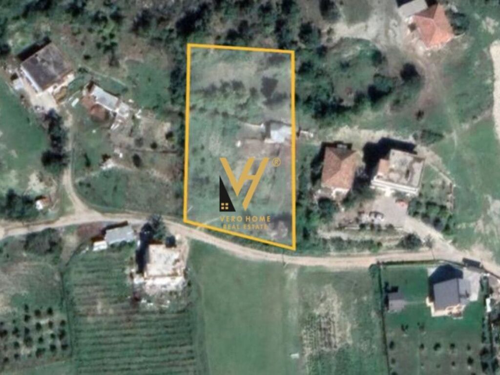 Shitet truall ne Picalle 2000 m2