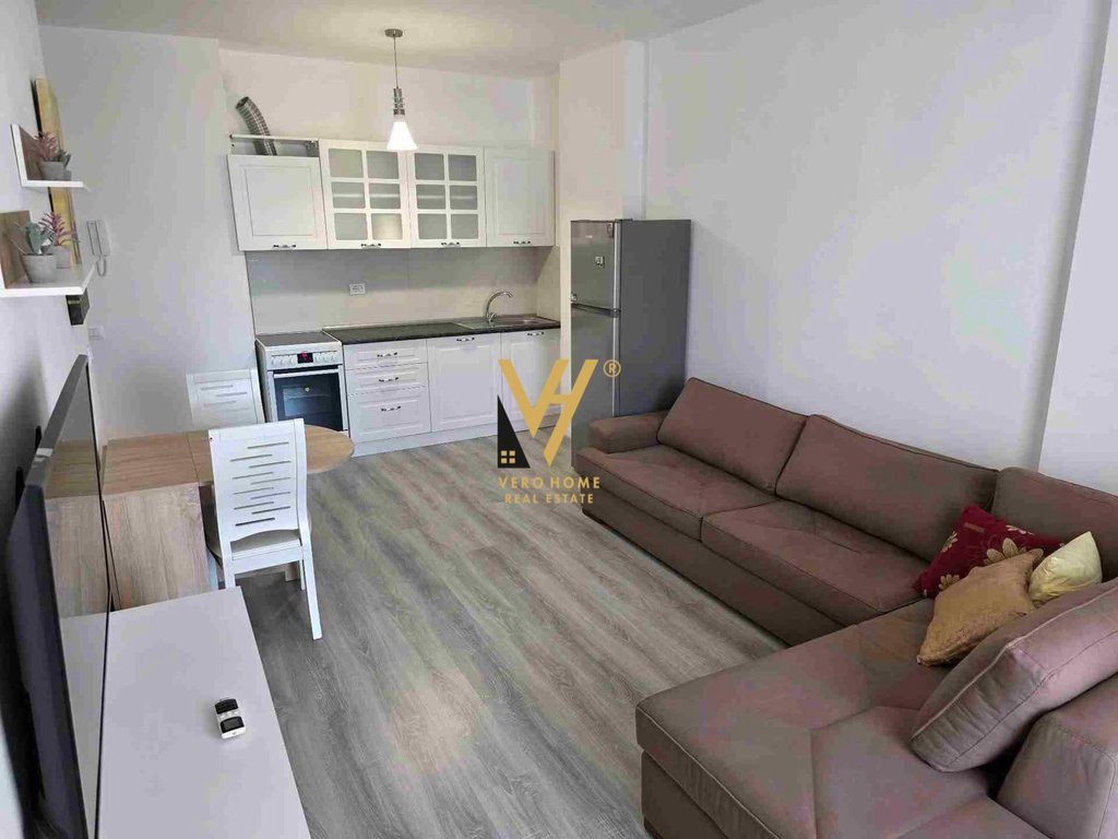 JEPET APARTAMENT 1+1+BLK ME QERA TEK E88, RR.DRITAN HOXHA 55.000 LEKE 3