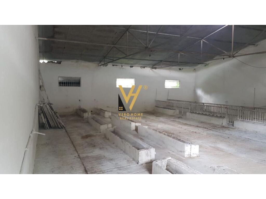 Shitet Ferme dhe Toke ne Baldushk 400 m2 4