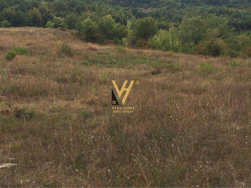 SHITET TOKE 5.500 M2 NE GURE E VOGEL,PRANE EQUOS RESORT 275.000 EURO 2