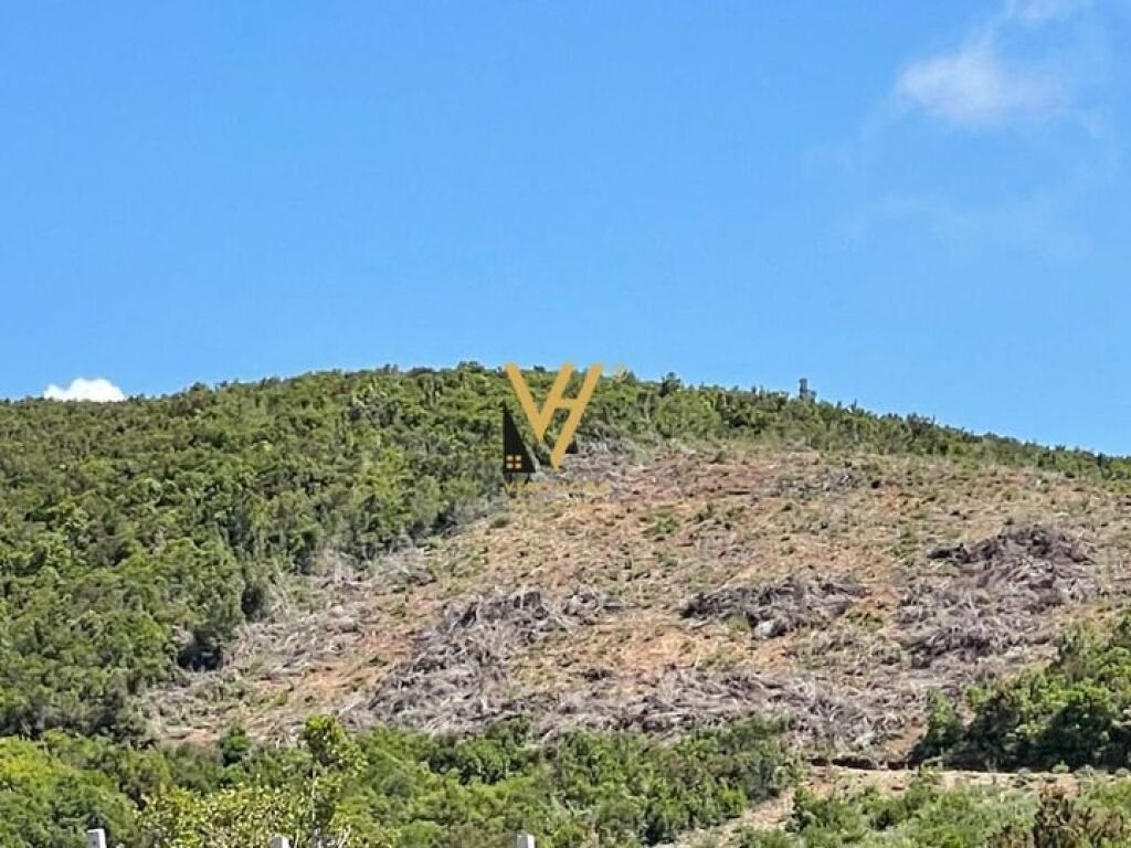 Shitet Toke ne Spille 5000 m2