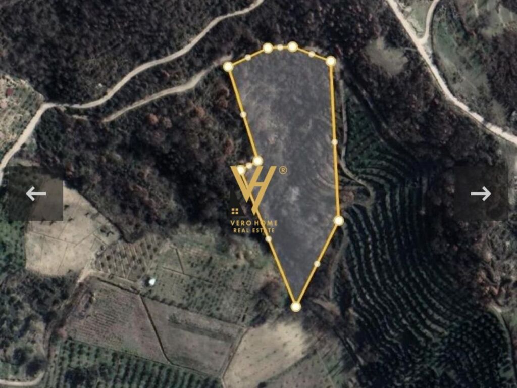 Shitet Toke ne Vore 10.000 m2