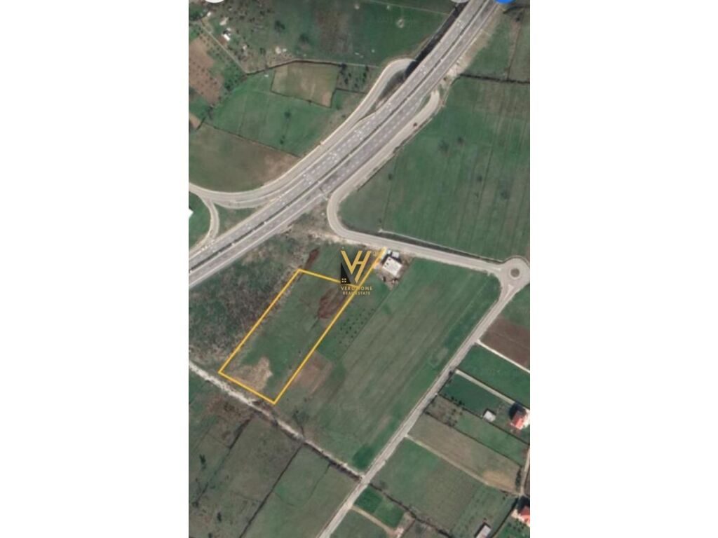 Shitet toke ne Lunder 5000 m2