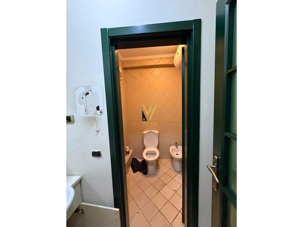 JEPET AMBIENT BIZNESI 350 M2 ME QERA TE SHESHI WILLSON 6.000 EURO 4