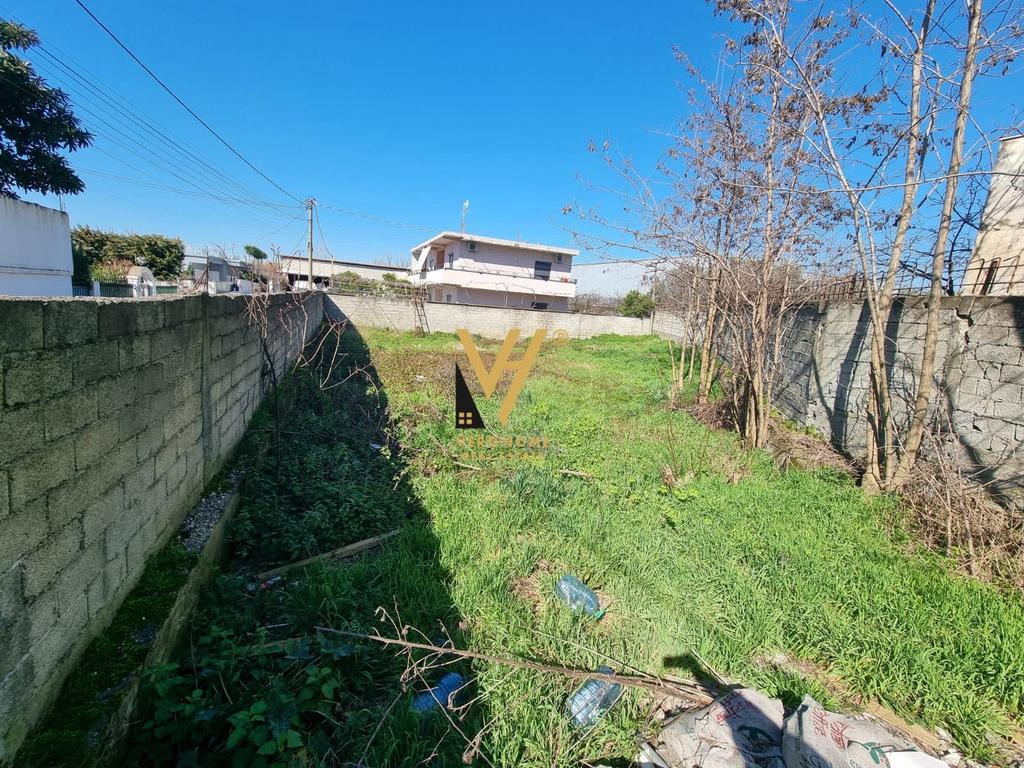 SHITET TOKE 600 M2 NE KASHAR 120.000 EURO 3