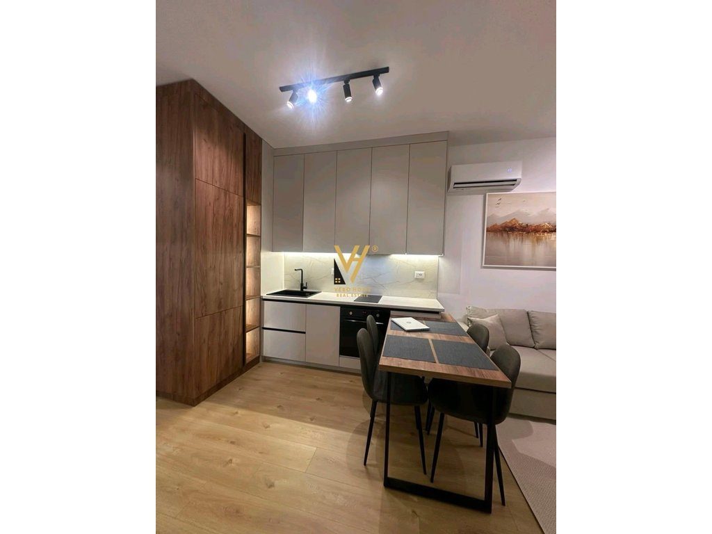 JEPET APARTAMENT 1+1+BLK ME QERA TE KADIU, ALI DEM 450 EURO 2