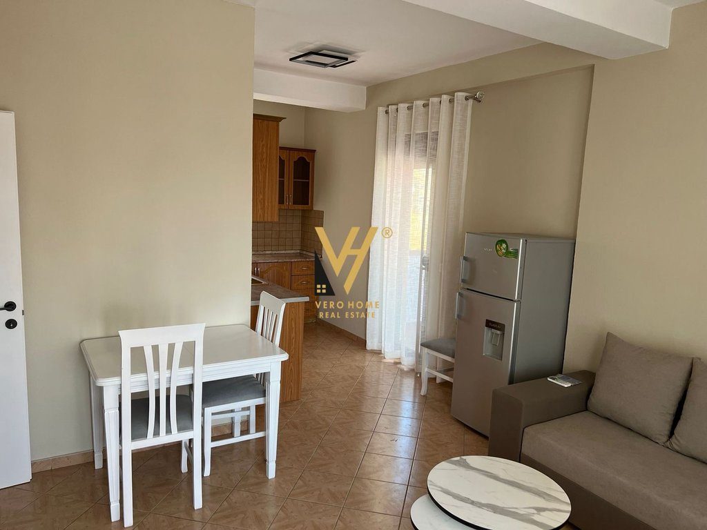 JEPET APARTAMENT 1+1+BLK ME QERA TE PROKURORIA, MINE PEZA 550 EURO 2