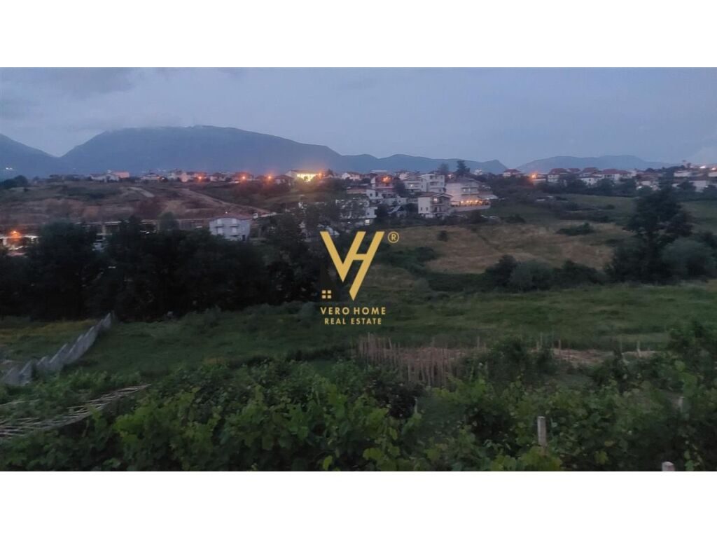 Shitet vile dhe toke ne Sauk , prane Tegut 5500 m2 3