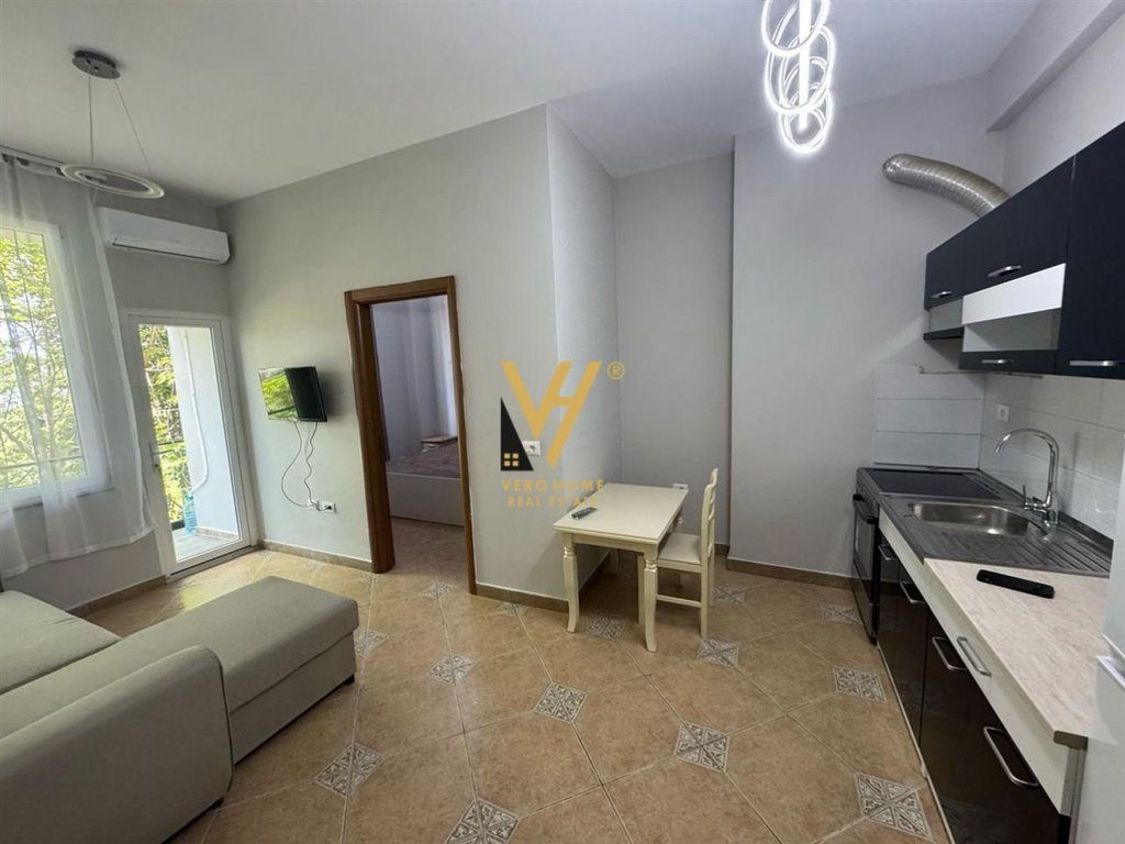 JEPET APARTAMENT 1+1+BLK ME QIRA TE VILAT GJERMANE 400 EURO 2
