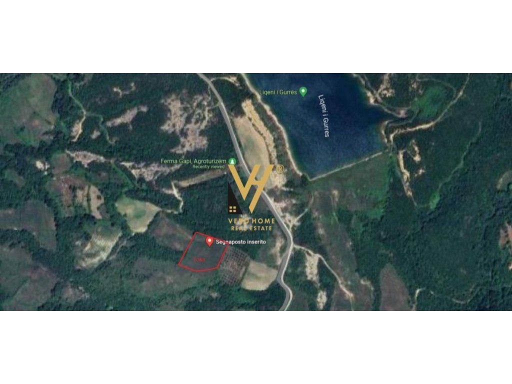 SHITET TOKE 5.500 M2 NE GURE E VOGEL,PRANE EQUOS RESORT 275.000 EURO 3