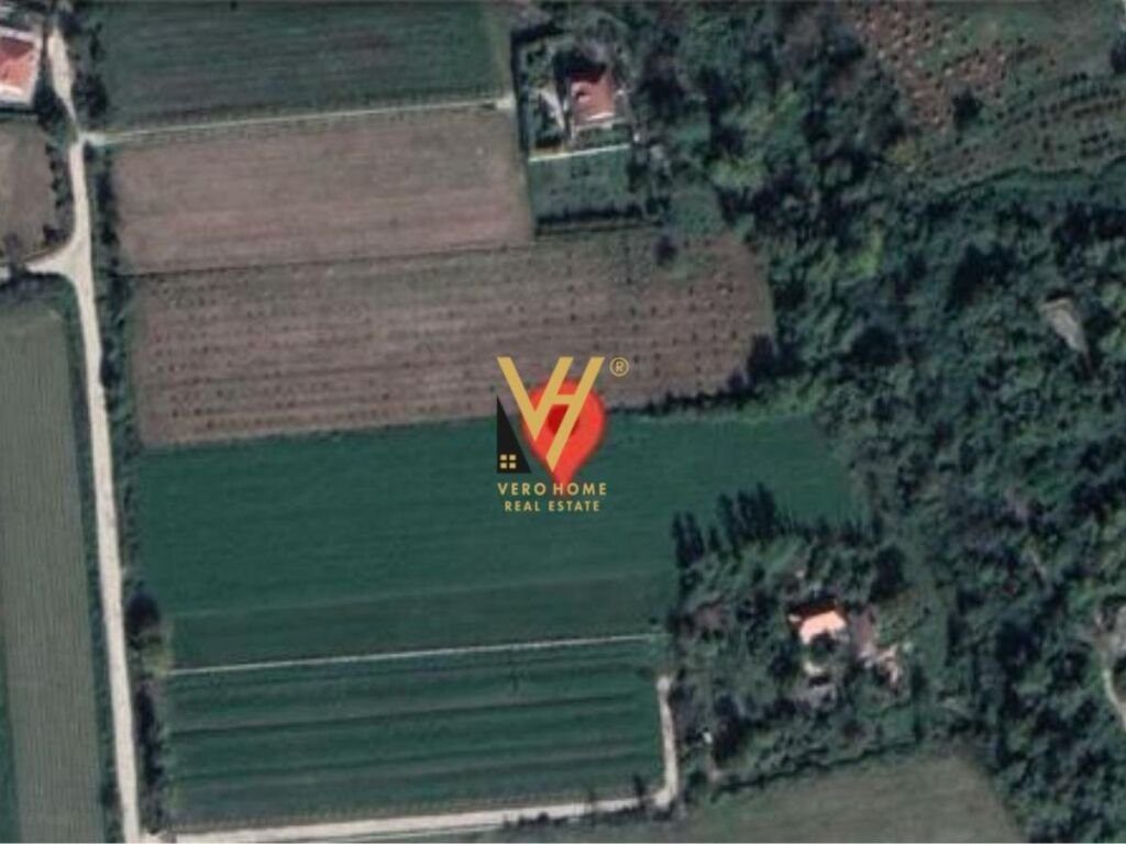 SHITET TOKE 10.000 M2 NE RINAS 700.000 EURO