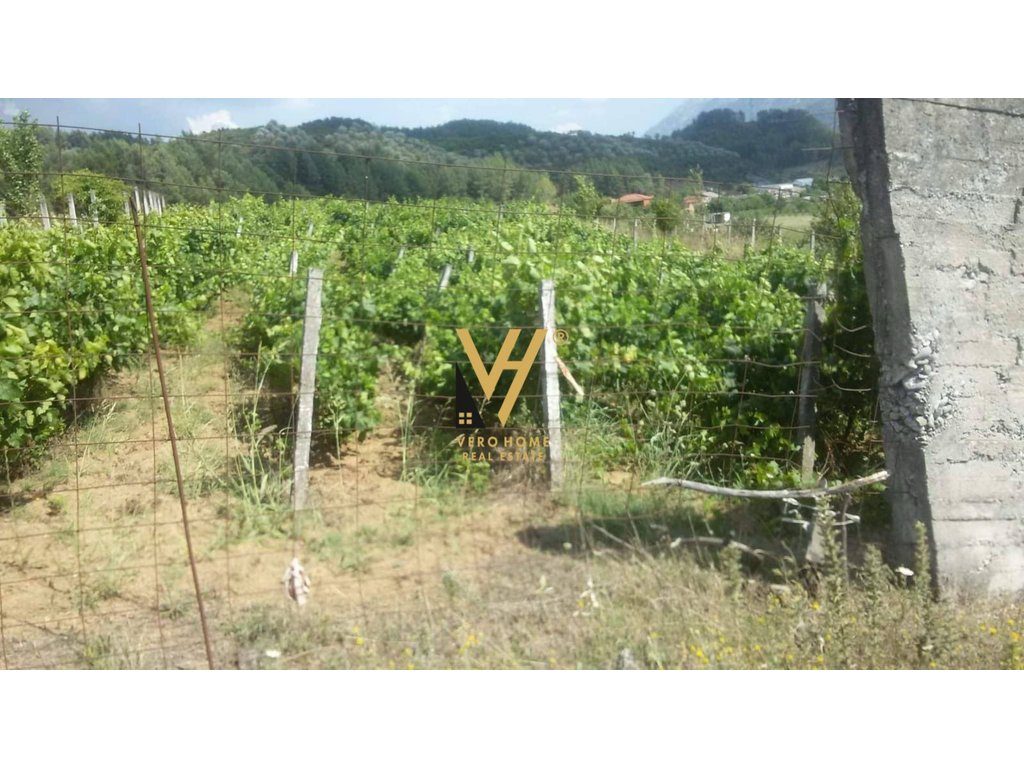 SHITET TRUALL DHE VRESHT 4.154 M2 NE PERMET 85.000 EURO 3