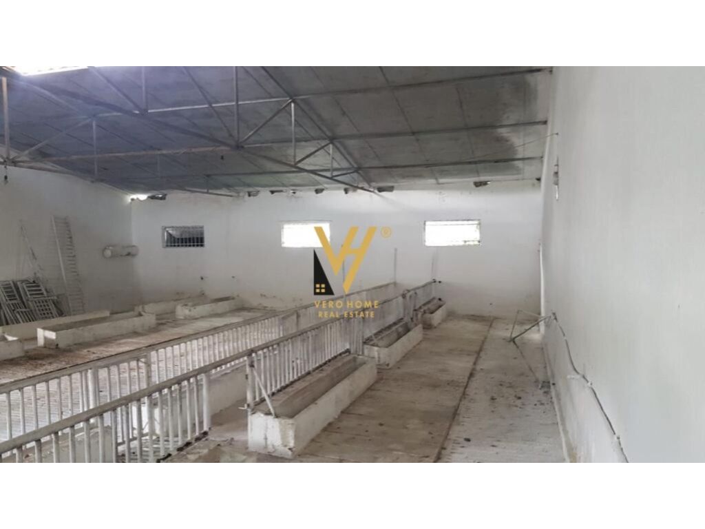 Shitet Ferme dhe Toke ne Baldushk 400 m2