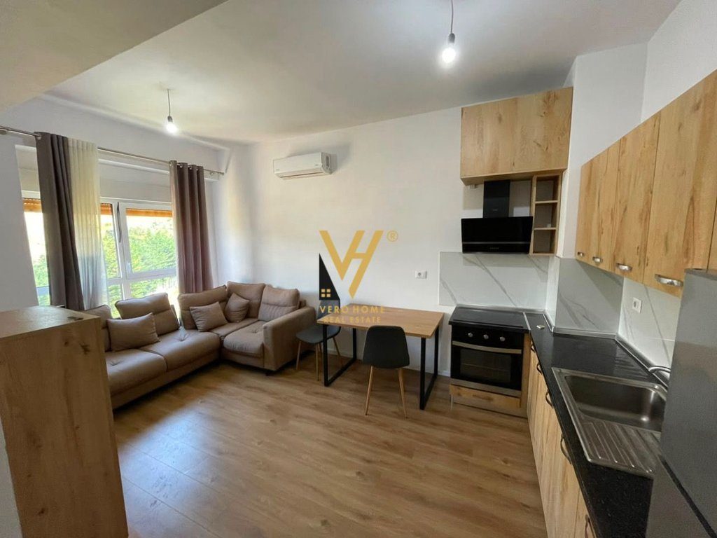 JEPET APARTAMENT 1+1+BLK ME QIRA TE KADIU, ALI DEM 400 EURO 2