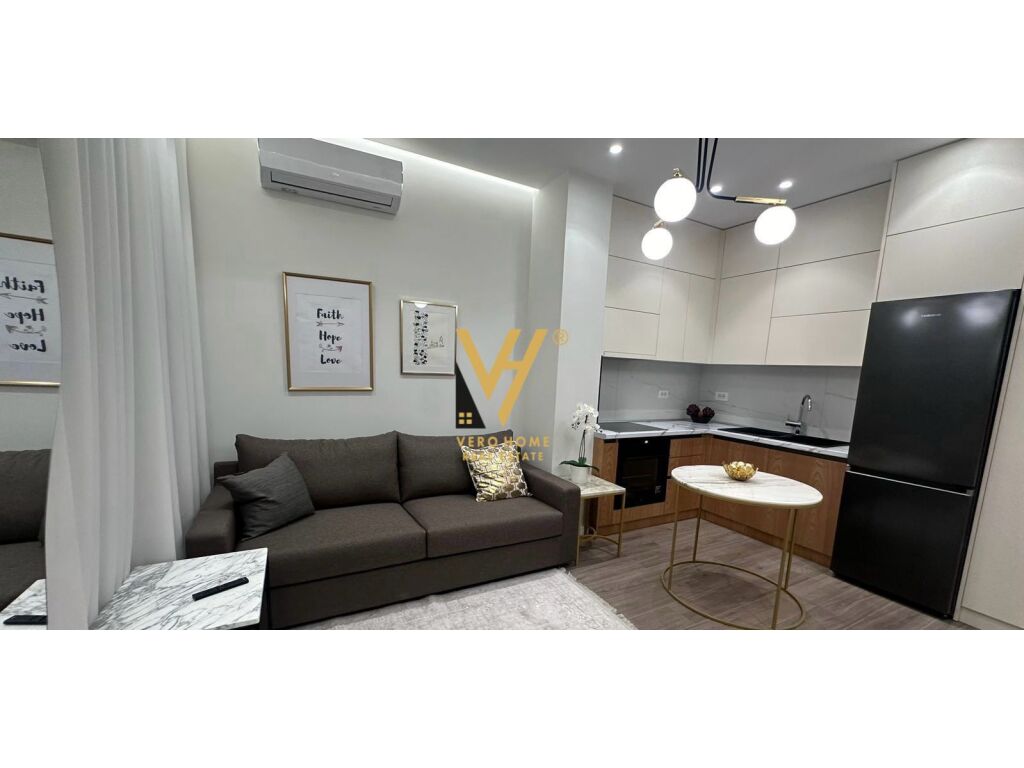 JEPET APARTAMENT 1+1 ME QERA TE RR.KARL GEGA 650 EURO 2