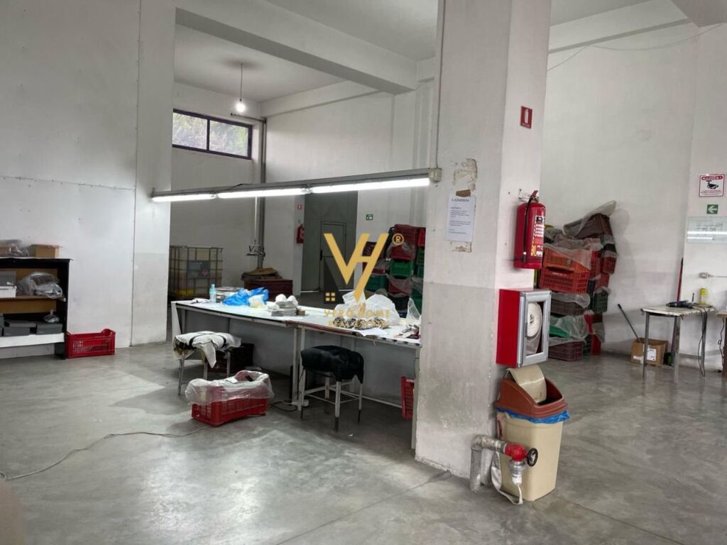 Shitet Godine 6 Kateshe Polifunksionale ne Fier 6310 m2