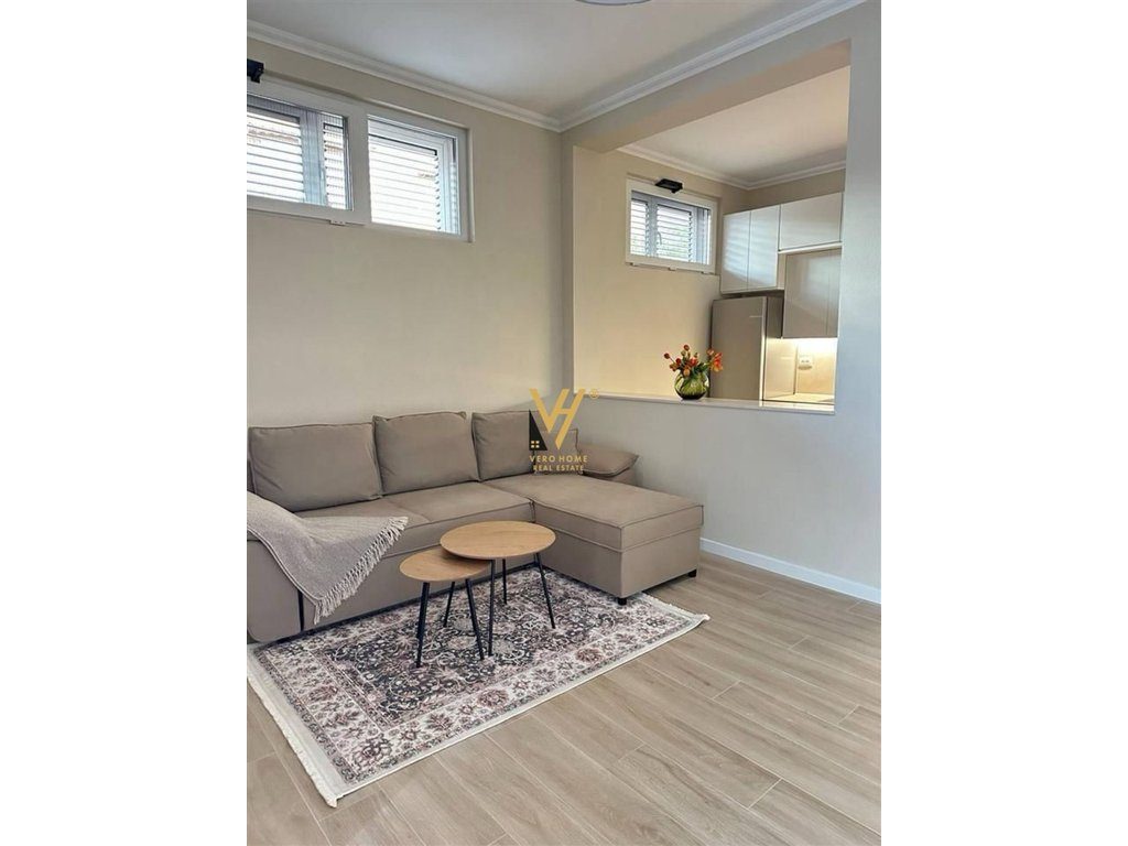 JEPET APARTAMENT 1+1+BLK ME QERA TEK OXHAKU 550 EURO