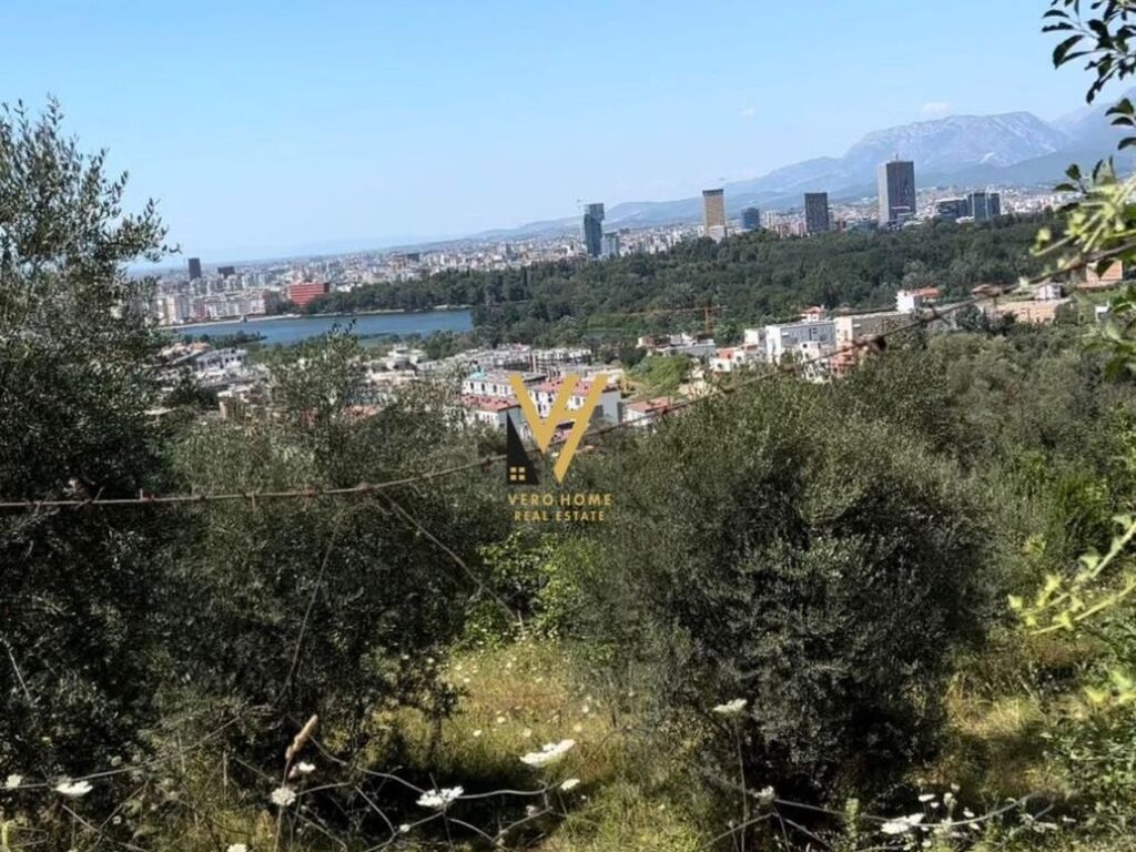 Shitet Truall pran Saukut 1000 m2