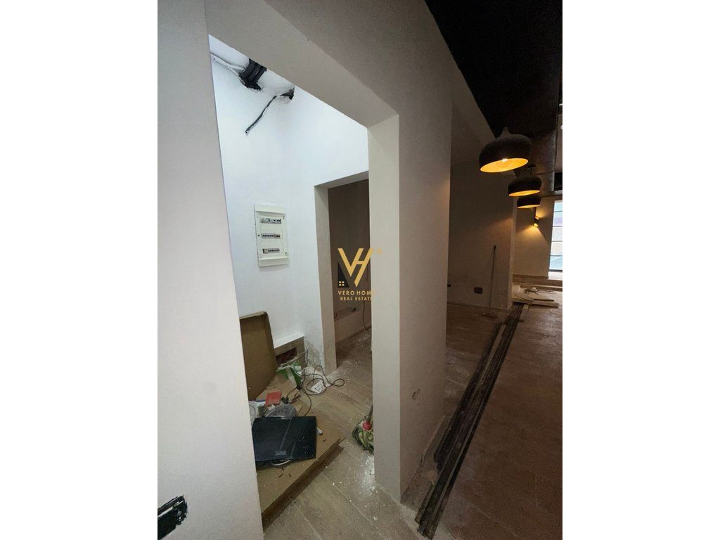 JEPET AMBIENT BIZNESI 86 M2 ME QERA NE VASIL SHANTO 100.000 LEKE 3