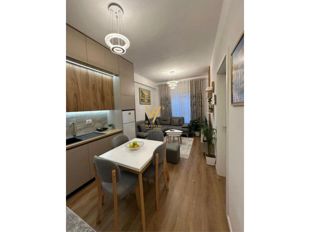 JEPET APARTAMENT 1+1+BLK ME QIRA TE KADIU, ALI DEMI 470 EURO