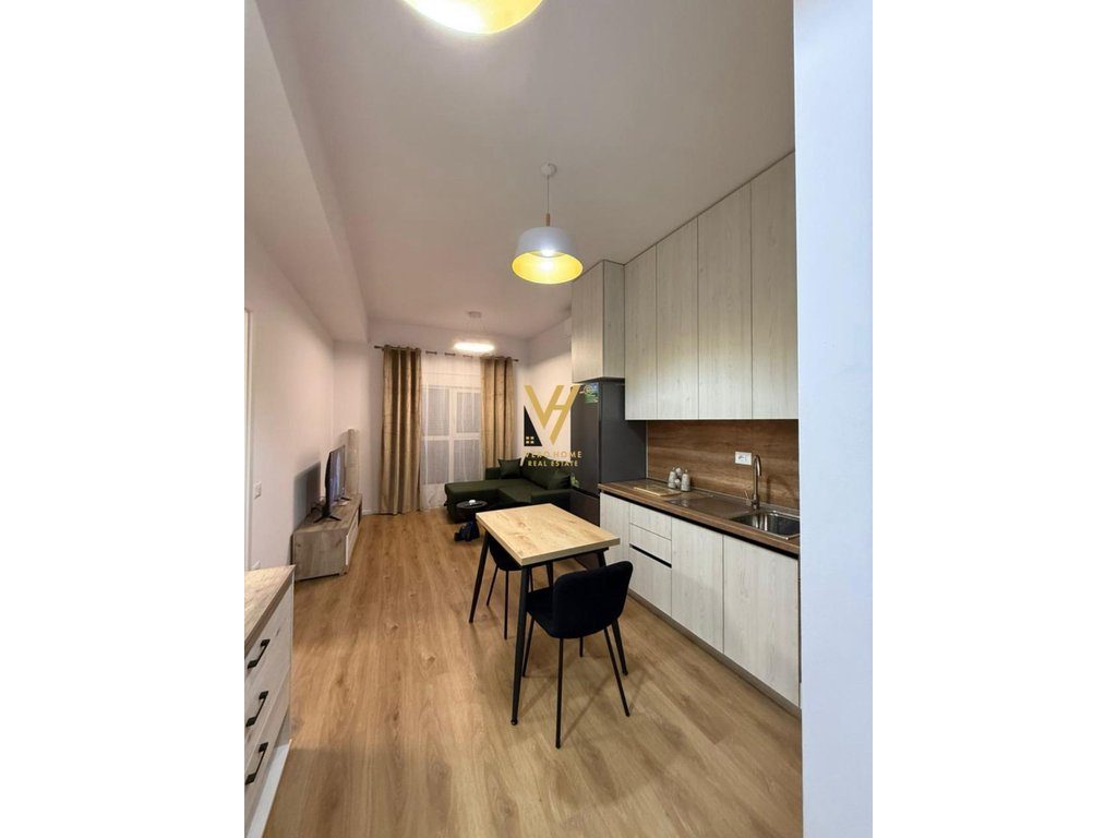 JEPET APARTAMENT 1+1+BLK ME QIRA TE ALI DEMI 500 EURO 3