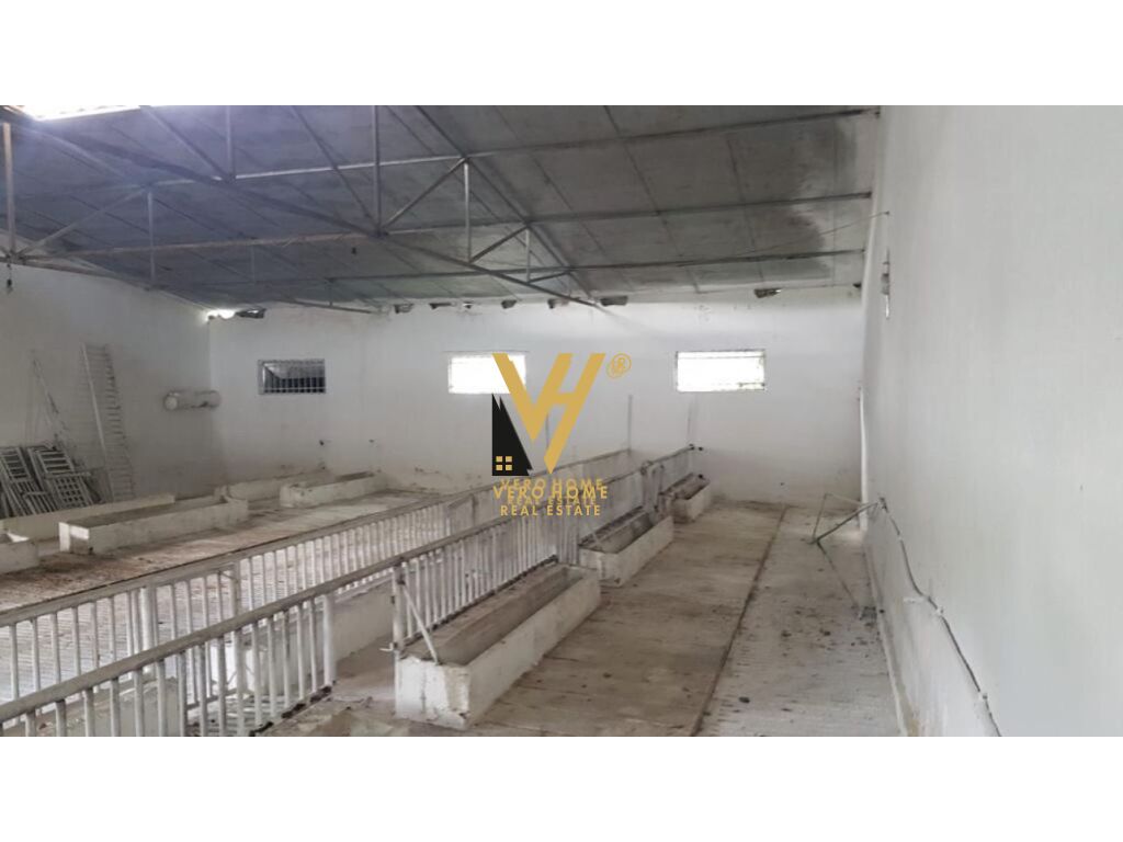 SHITET FERME 1.400 M2 NE BALDUSHK 300.000 EURO 2