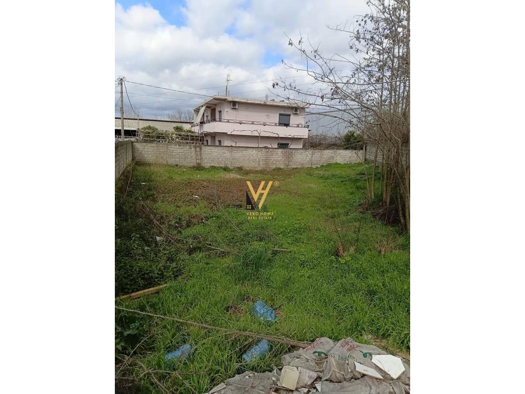 SHITET TOKE 600 M2 NE KASHAR 120.000 EURO